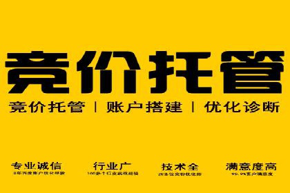 百度推广价格策略：企业成功案例解析
